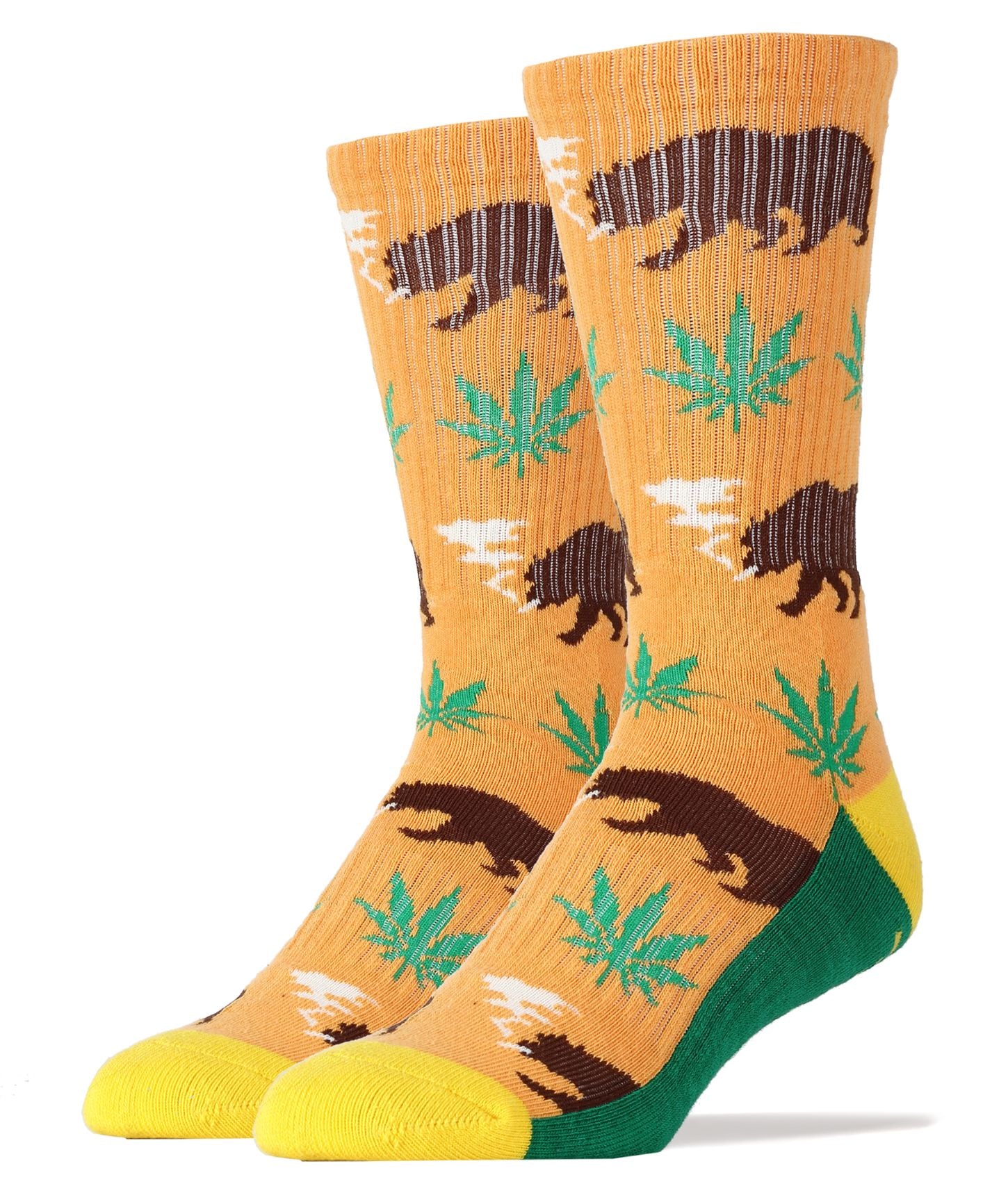 Buy orange Beary California Socks