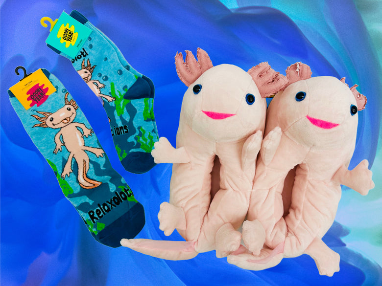 Axolotl's Popularity Surge and the Delightful Socks & Slippers Trend