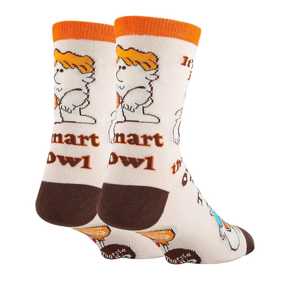 Smart Owl Socks