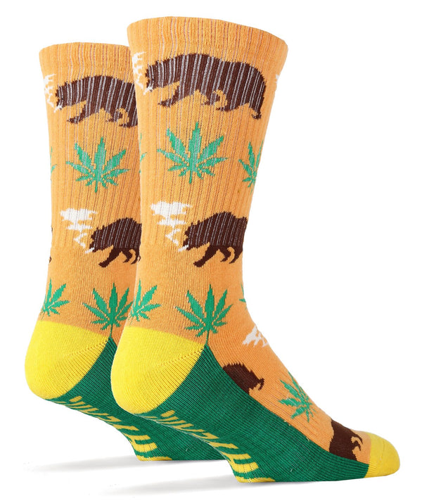 Beary California Socks
