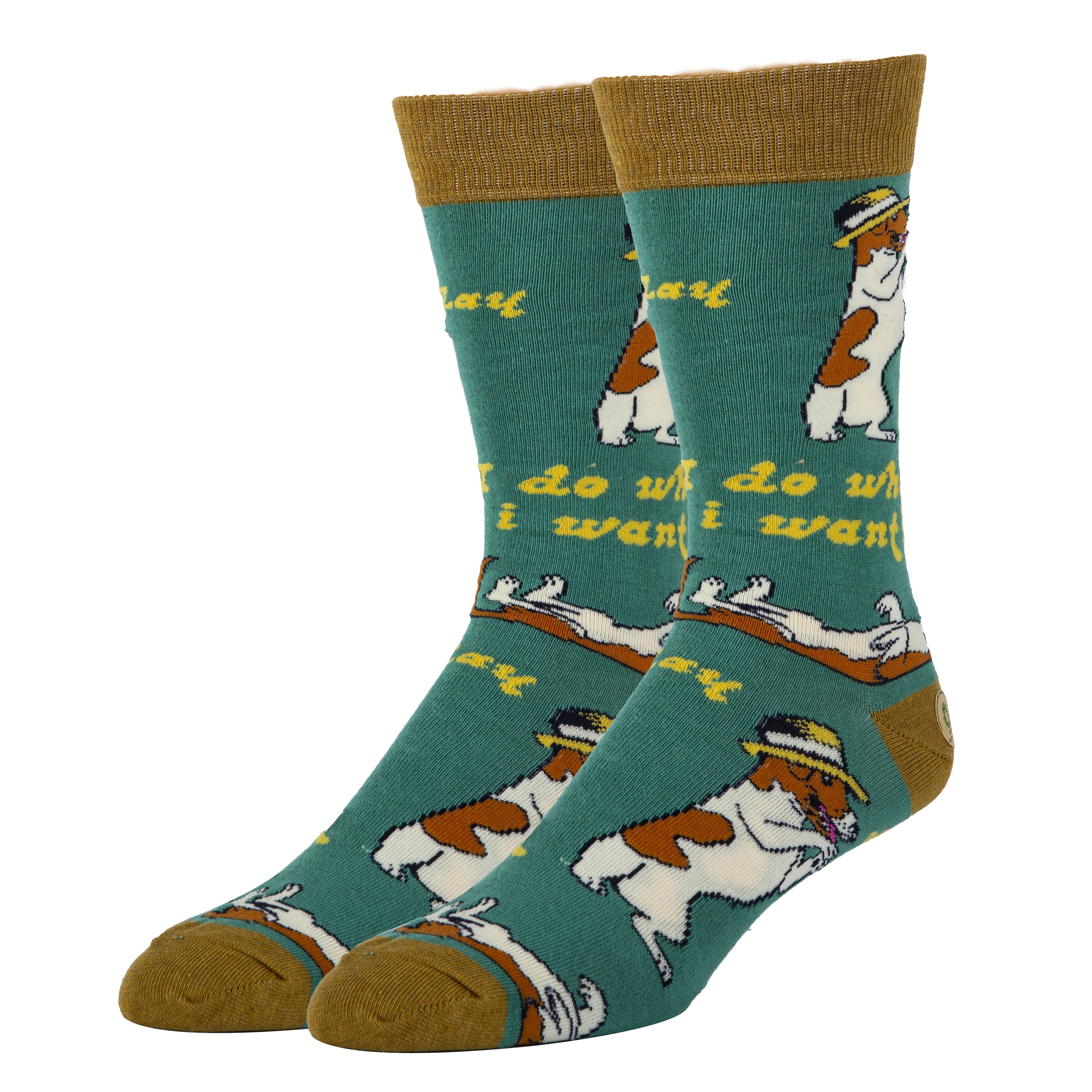 Dog Park Greetings Men's Socks  Funny Socks for Dog Lovers - Cute