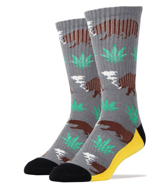 Buy gray Beary California Socks