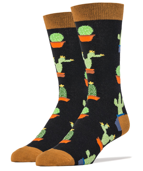 Into the Desert Socks | Novelty Crew Socks For Men