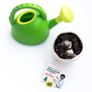 hug-a-tree-mens-crew-socks-5-oooh-yeah-socks